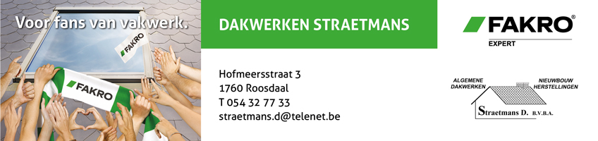 Expert FAKRO Straetmans D.